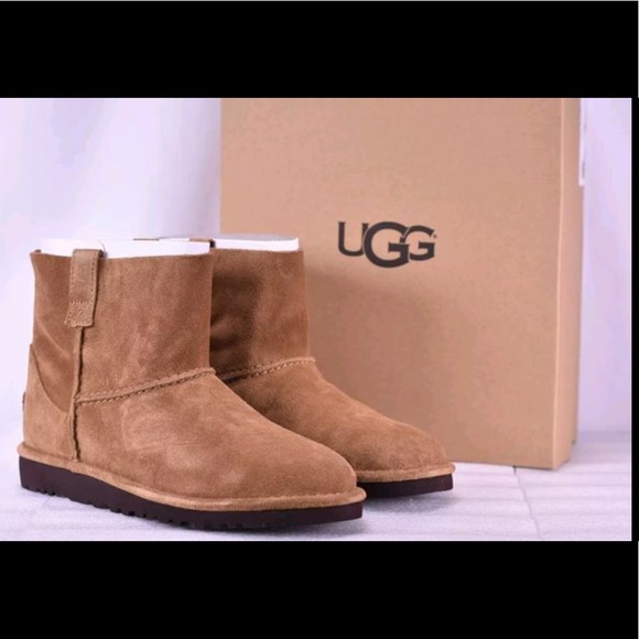 UGG Shoes - Brand new UGGS in box